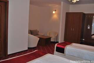 Хостелы Hostel Paltinis Хунедоара Двухместный номер с 1 кроватью-2